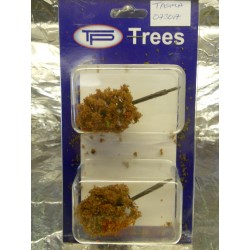 ** Tasma 073017 Ash Tree x 2 - Autumn Approx 80mm